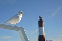 Faro Les Eclaireurs