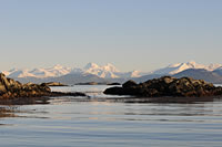 Canal Beagle
