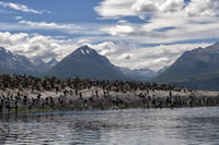 Isla de los Pjaros