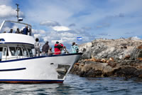 Isla de los Lobos