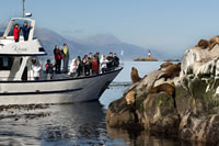 Isla de los Lobos